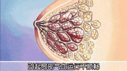 408_230gif 动态图 动图