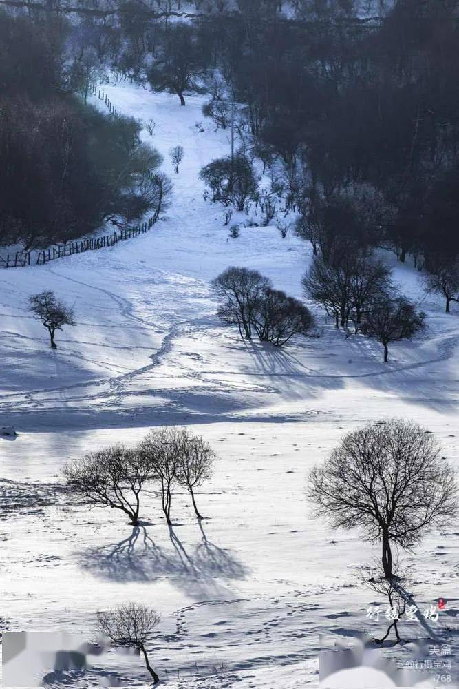 寶雞這處西北唯一高山草甸內陸