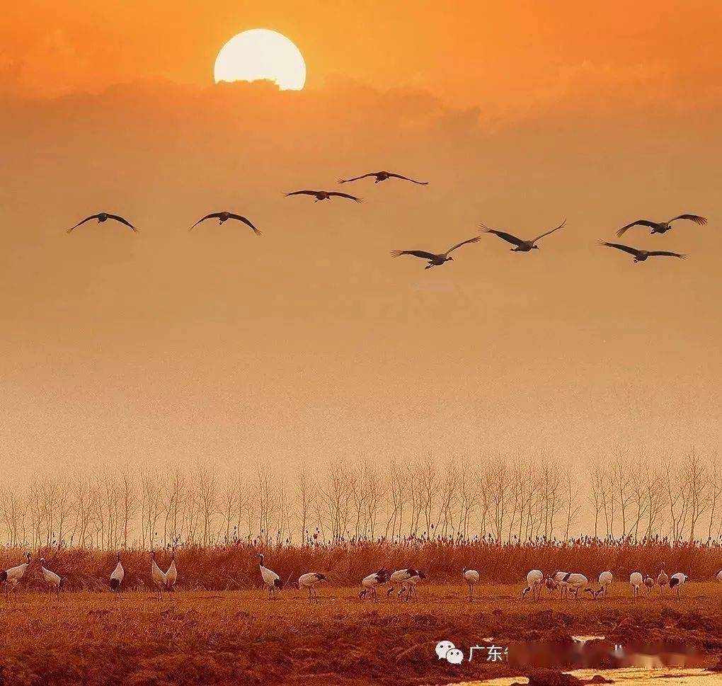 中外摄影师镜头下的大美中国