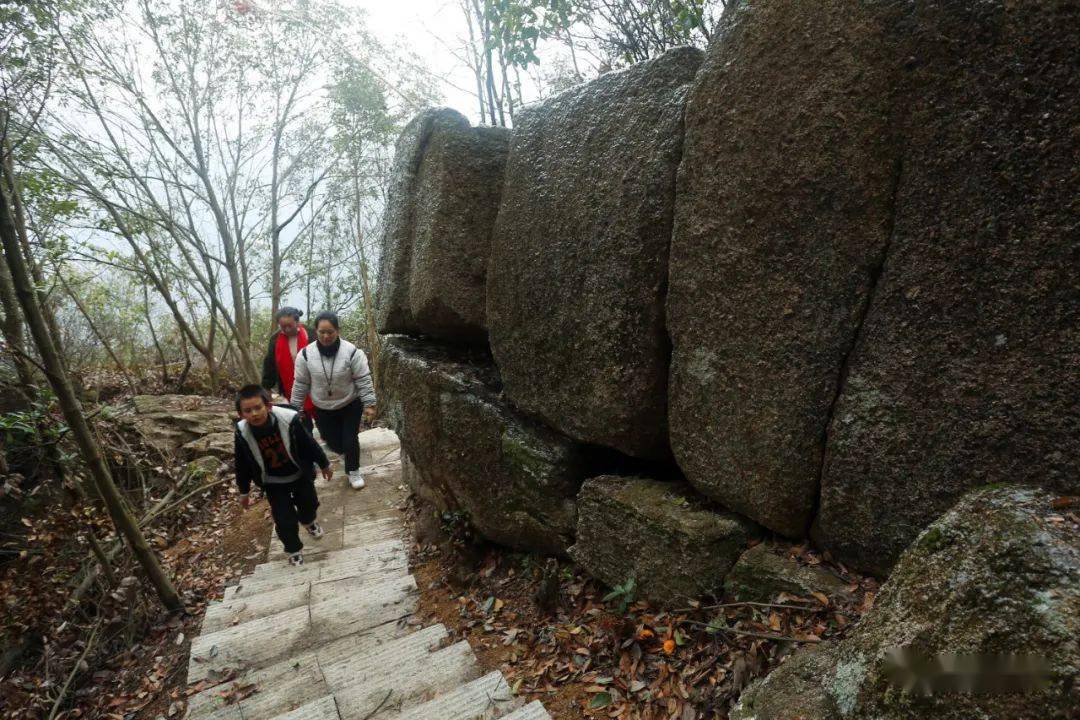 坪市莲花山的登山石阶梯修好了直达山顶