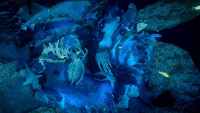 海王鱼塘网图图片