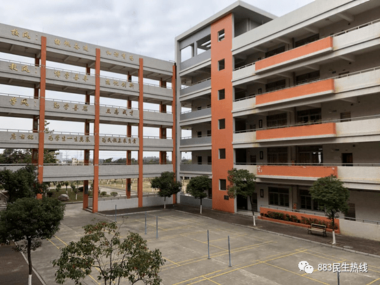 魅力校园秀 | 杨和中学:以"和文化"为学校文化核心