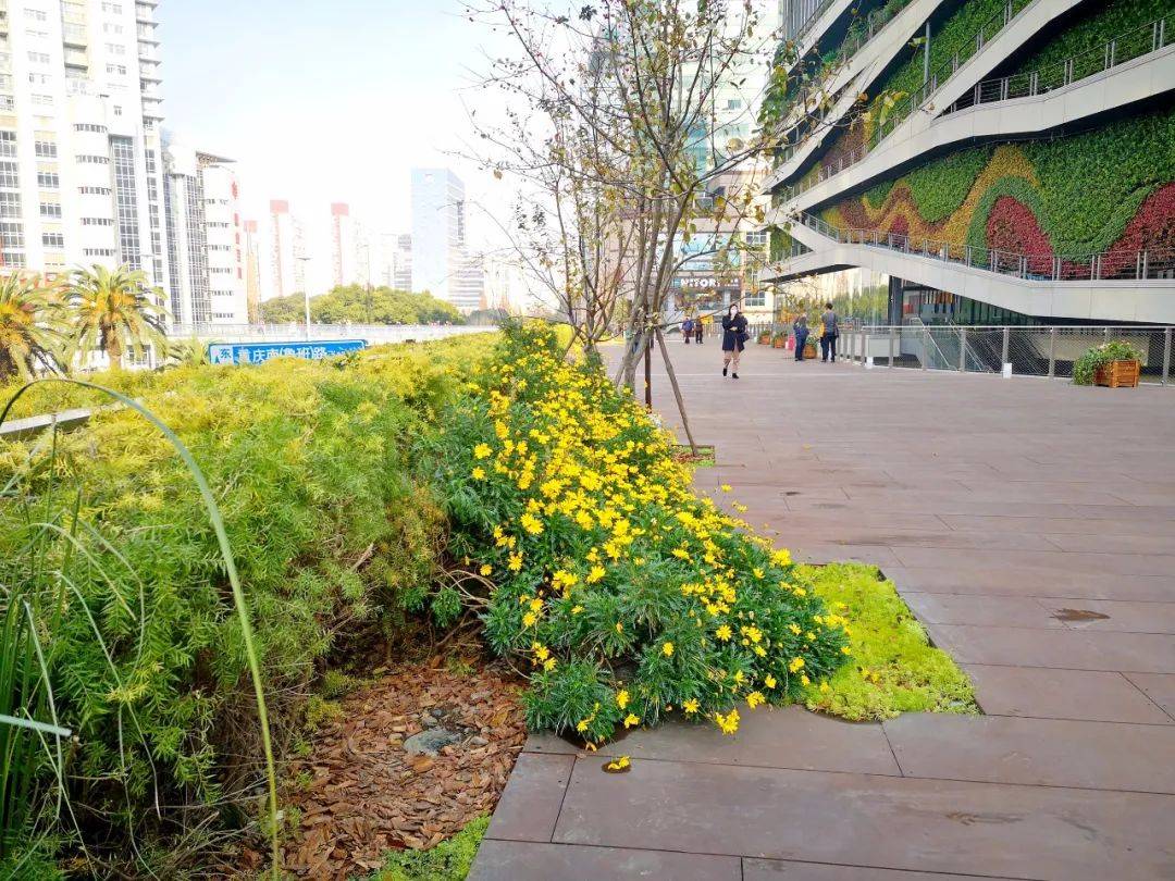 升颜值提气质增内涵徐家汇天桥连廊一期今日正式对外开放