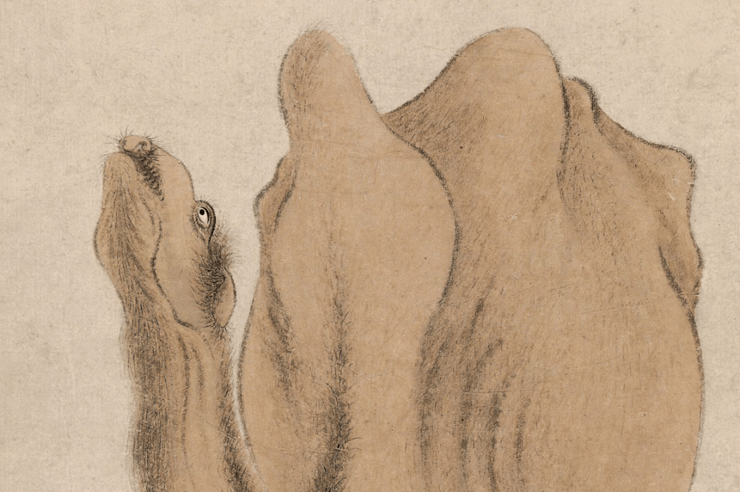 华岩《天山积雪图》,震撼_题材