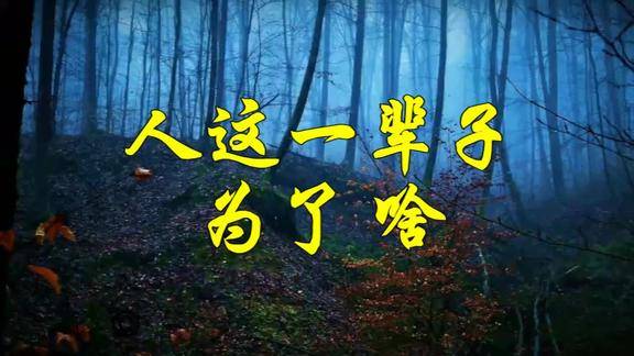 人这一辈子为了啥