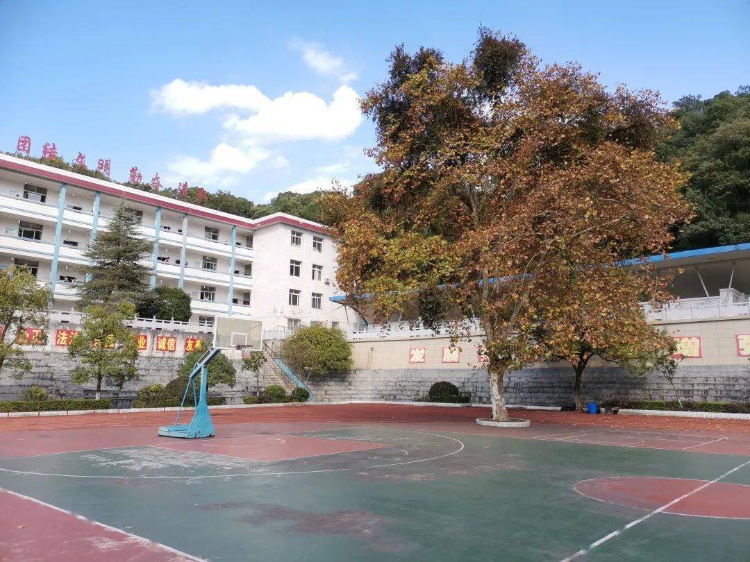 光影下的南中定格最美瞬间南方中学定格瞬间最美留恋校园摄影比赛获奖