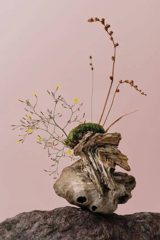 被丢掉的枯枝落叶捡来插花太美了