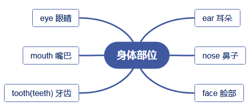小学阶段课标核心单词思维导图01