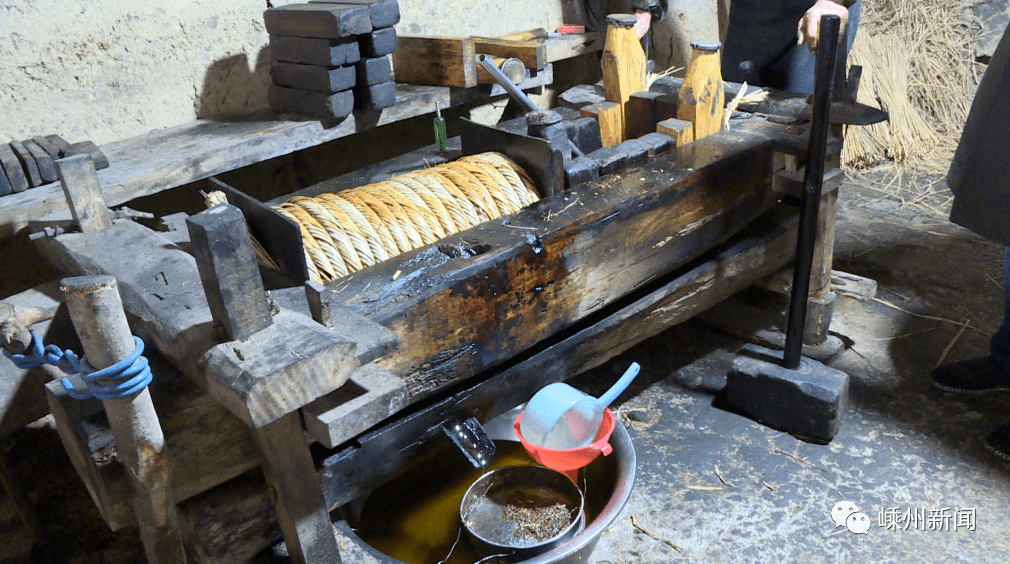 2000亩嵊州这里的冷空气山茶油七八道工序古法压榨全凭手艺