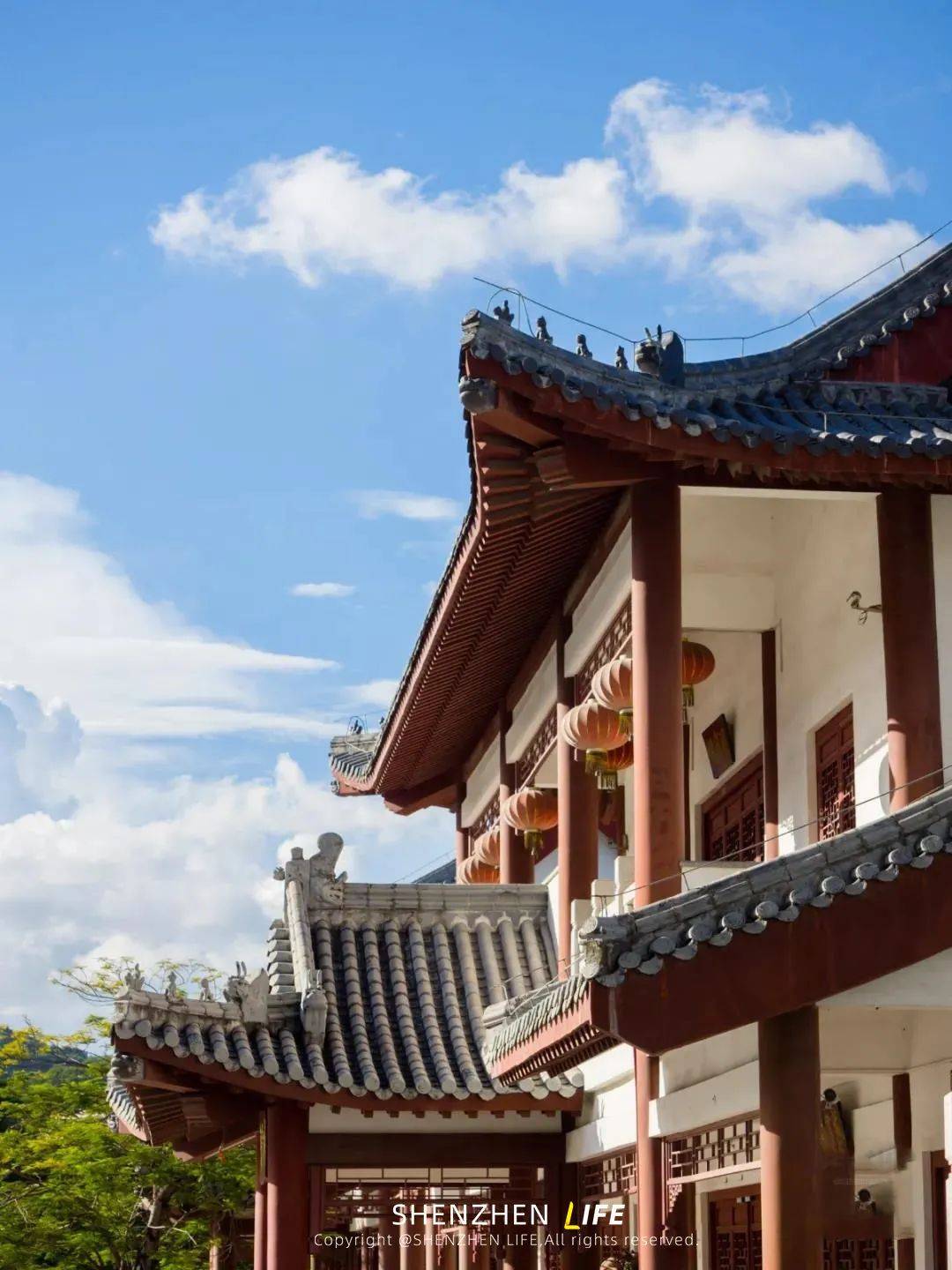 深圳"小紫荆城"