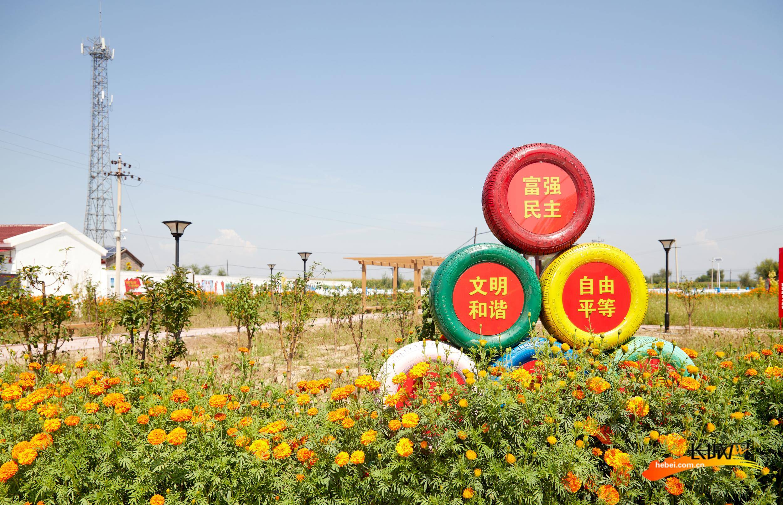 我们的全村福丨张家口市阳原县小庄村产业扶贫托起村民小康路