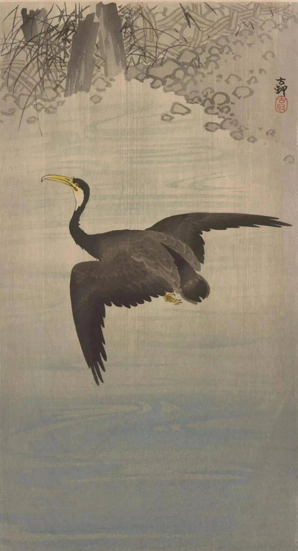 日本绘画大师的花鸟画淡雅清新