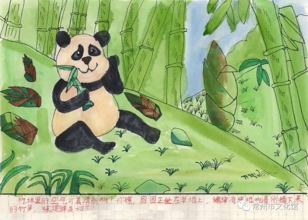 【绘本特等奖作品展】低年级组:《走近国宝大熊猫》莫钧涵