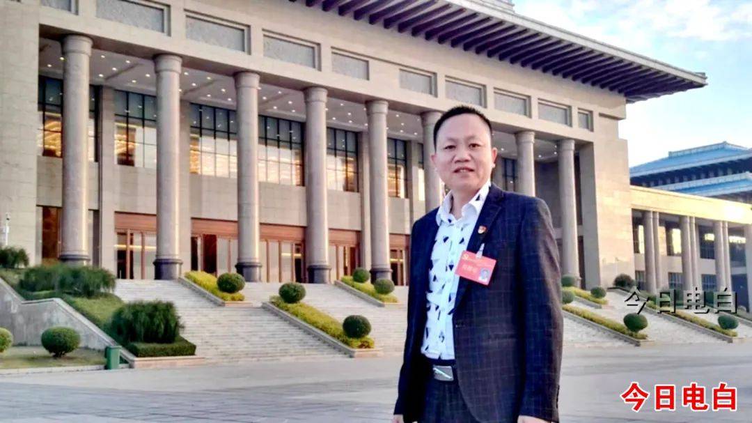 电白这条村的小番茄火了