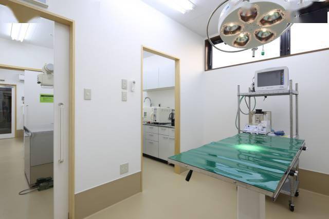 如果想自己的宠物看起来更美 甚至可以为它做整容手术 宠物医院和人的