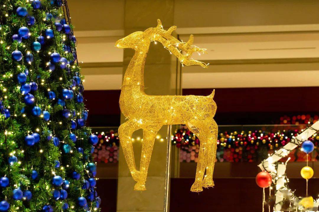 还有5位幸运鹅获得了惊喜礼物…_苏州