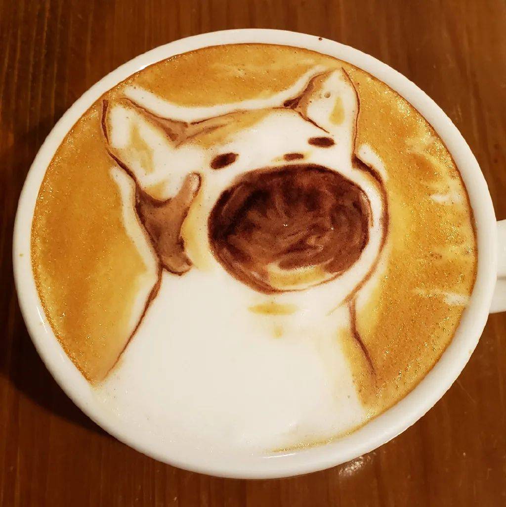 每次看到这只阿巴阿巴猫,就会不由自主滴对自己啵啵_popo