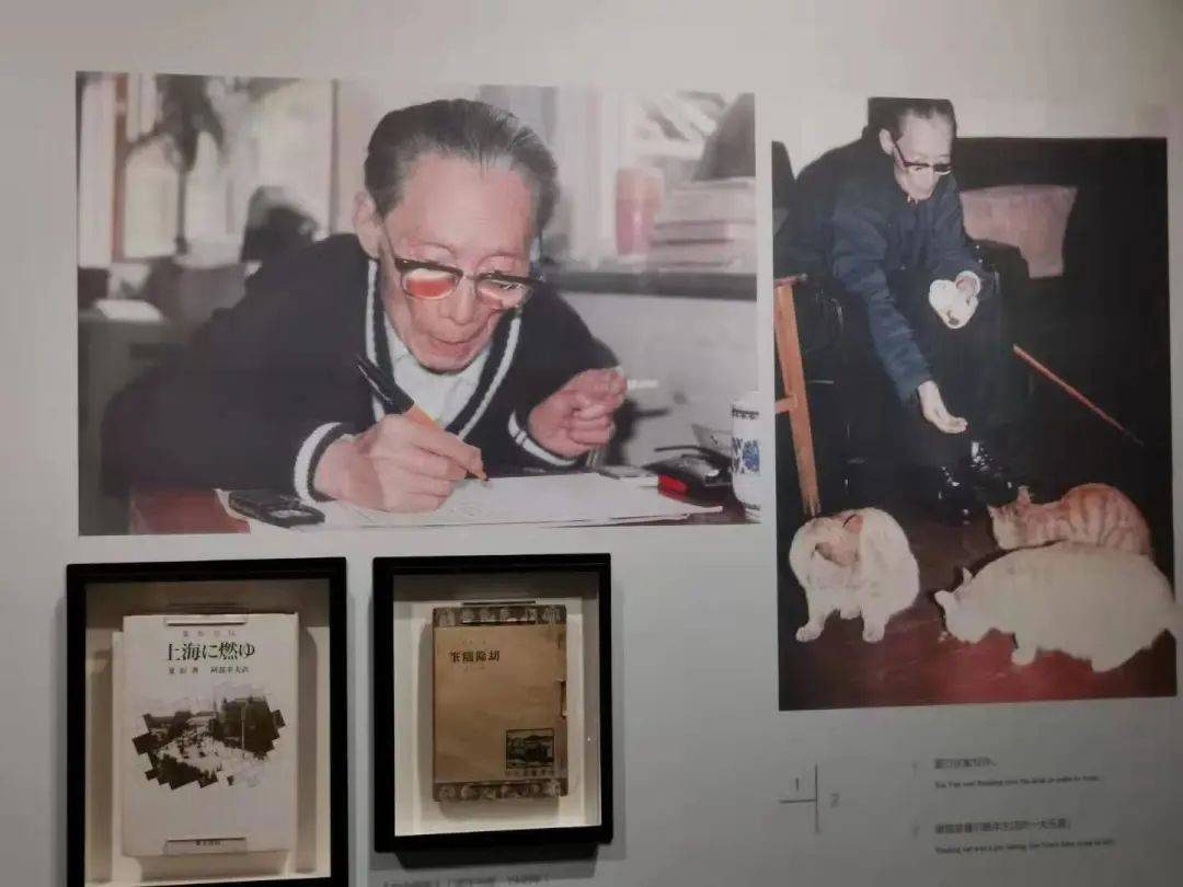 在夏衍旧居读他的人生搜狐大视野搜狐新闻