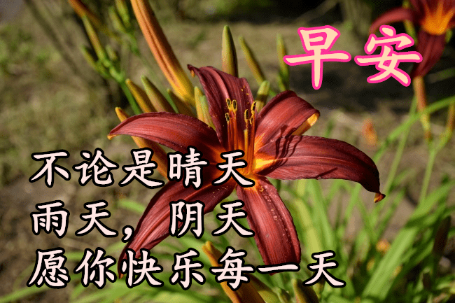 12月26日最漂亮早上好动态表情图片大全早晨好动图美图大全