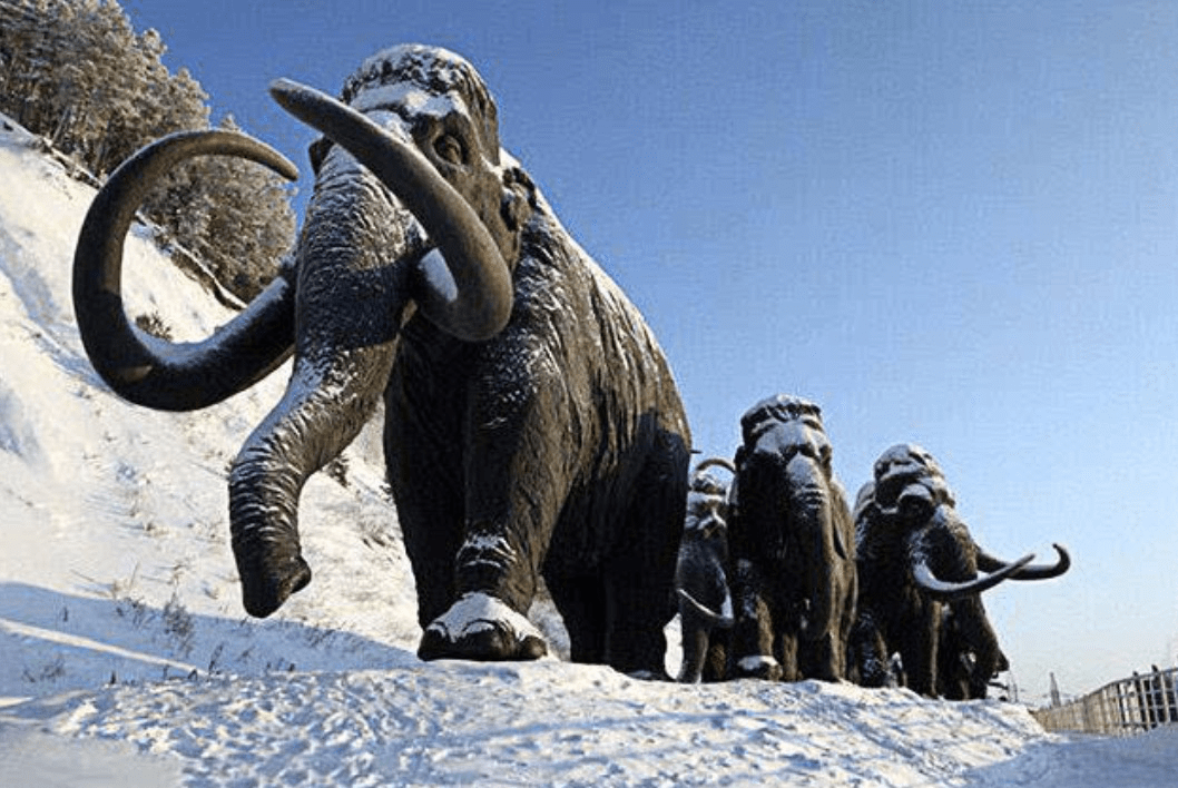 六国突现七种变异病毒,全人类或许到了最凶险的时候