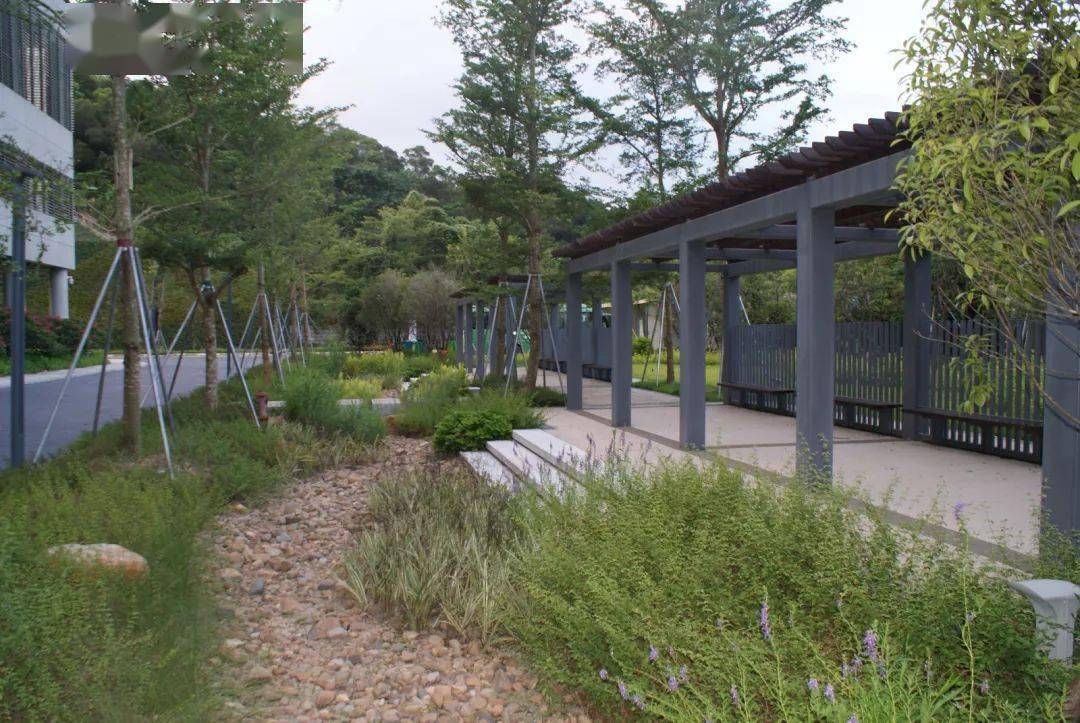 图:西部海绵园地北侧立体绿化:植草沟沿着山坡布置,主要收集山坡客水