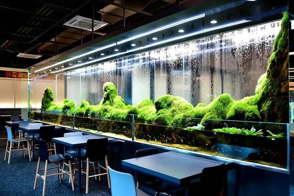 这家名为aquagarden cafe(水族花园咖啡店)是今年上半年开业的,作品是