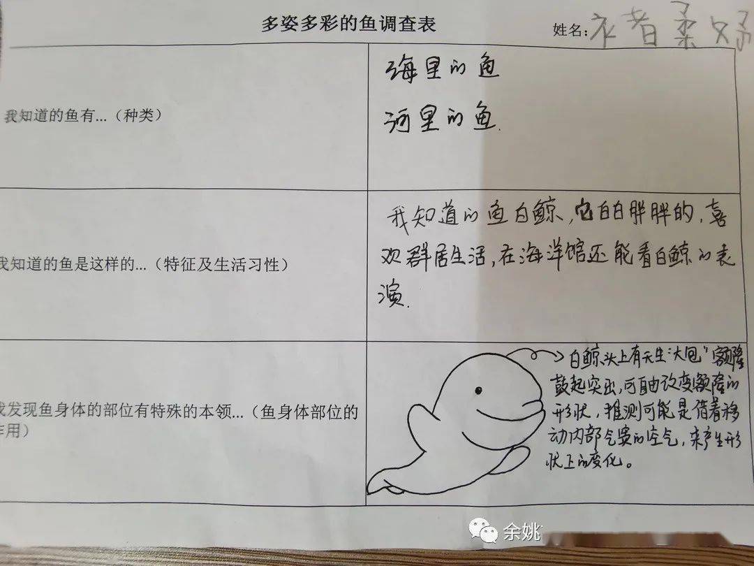 幼儿园主题鱼调查表图片