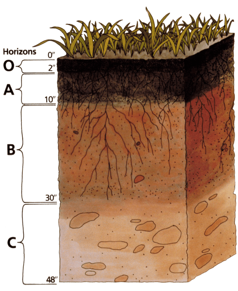 地表土层结构图片