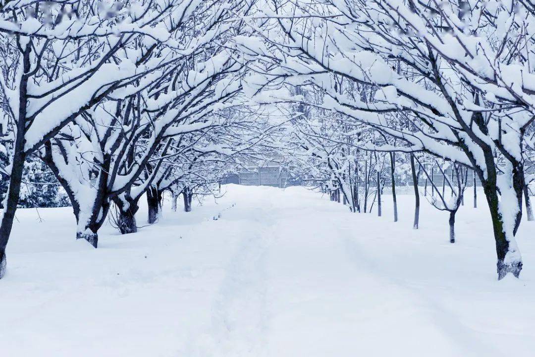 随着时间,周围景物等的变化,白雪也会表现为不同的白色,所以,在拍摄不