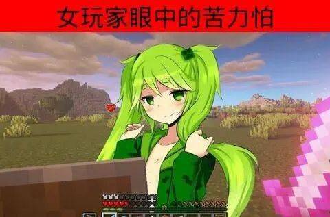 我的世界:不同玩家眼中的苦力怕是什么模样?女玩家:一位美女-搜狐大视