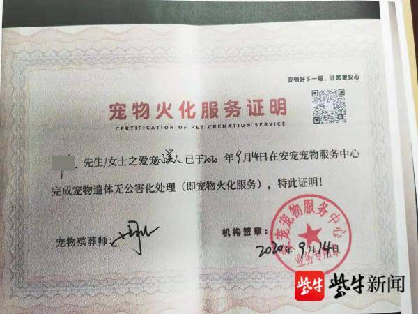 "泰迪"在宠物店内被"阿拉斯加"咬死!主人怒讨精神损失费