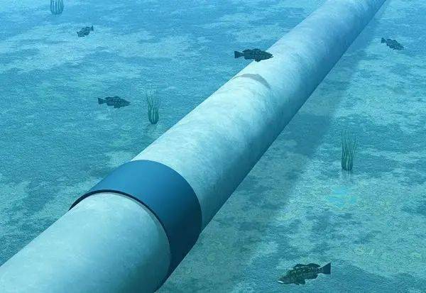 法国海底输缆管输油管工程和开发海洋再生能源的集团公司寻求收购