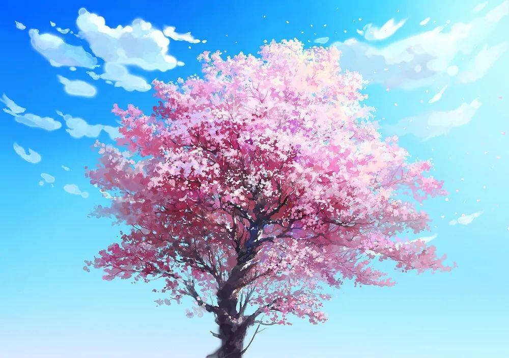 造梦插画师寒放 | 他的画中有你想要的理想世界