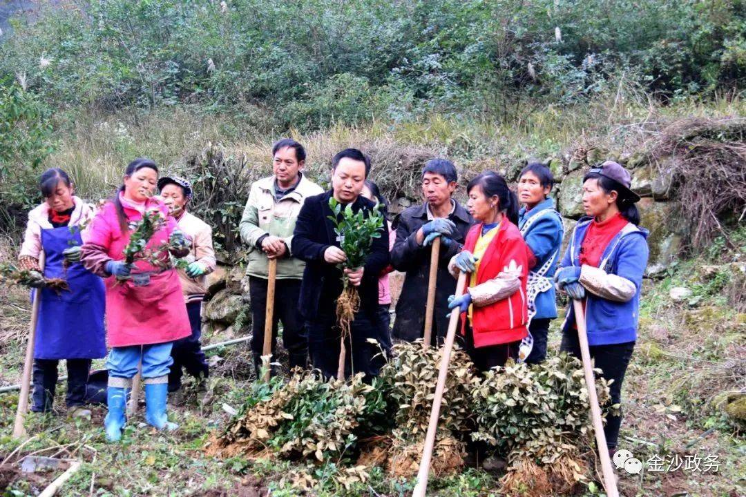 我的扶贫故事 | 贵州省先进工作者杨洪庆:心怀桑梓反哺家乡 践行初心