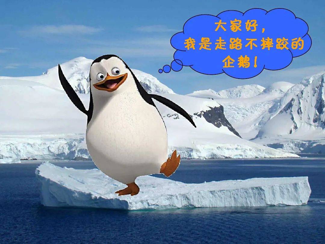 雪天路_滑____请向呆萌企鹅学习走路技巧!