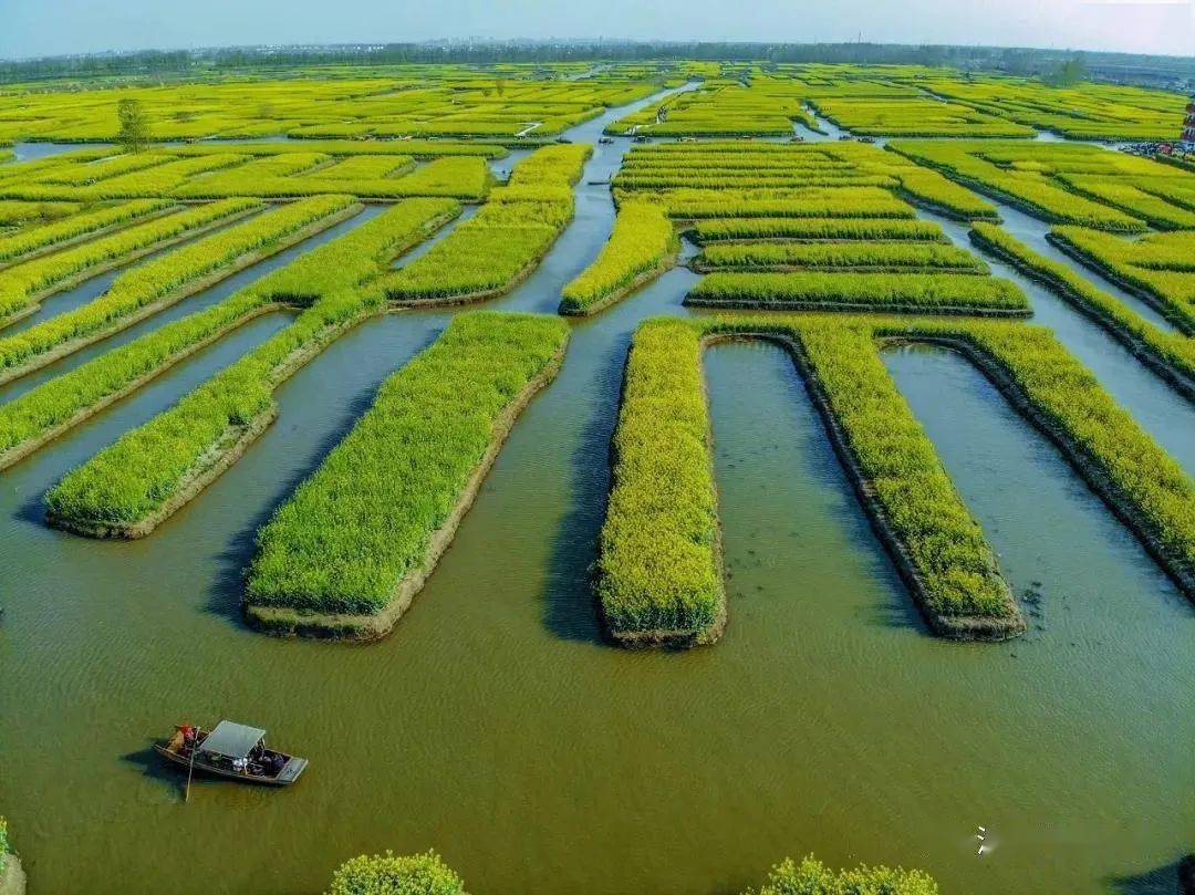跨过人山人海的长江竟然如此美丽!