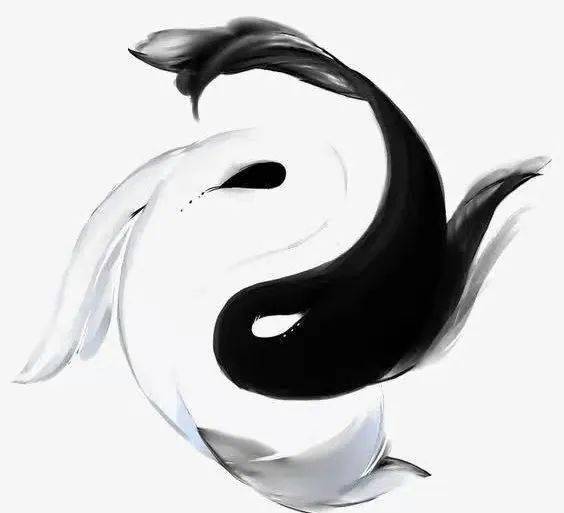 你修习的太极拳一直很行不信者一定不行