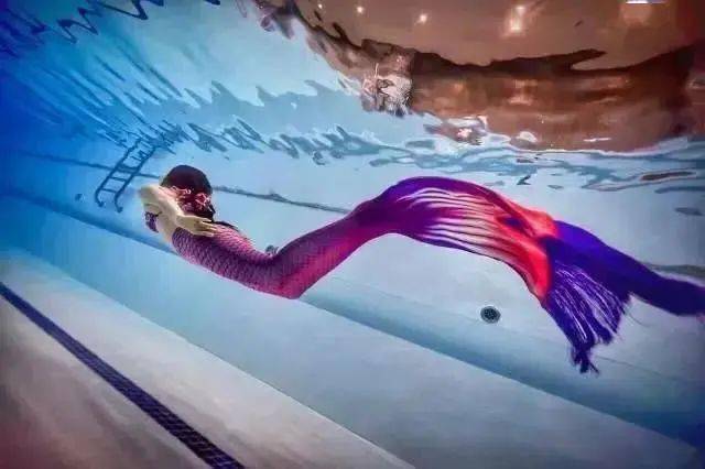 红杉丽人丨静如处子 动如脱兔 美貌才华集于一身