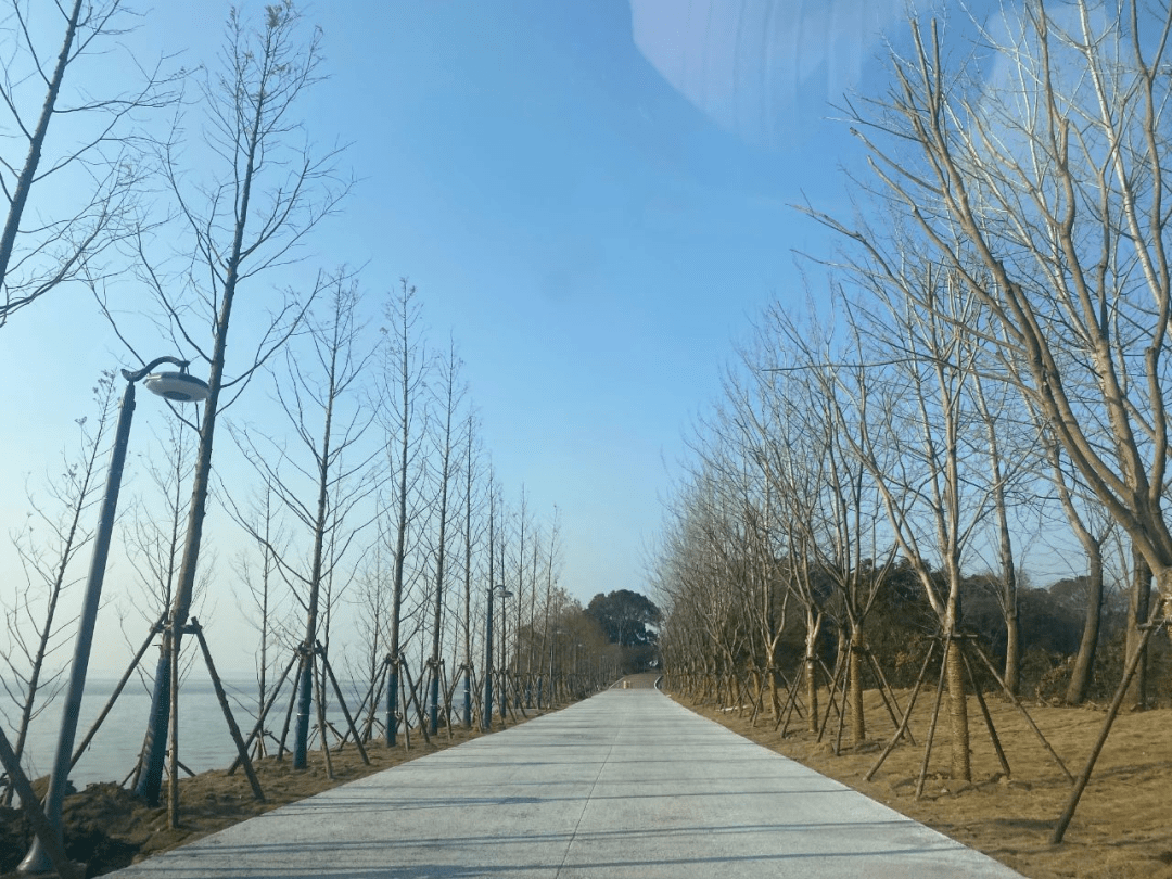 九江市赛城湖南岸绿道图片
