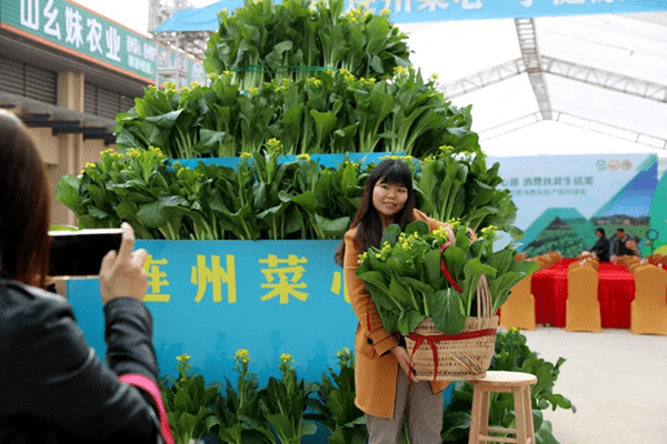 连州菜心节来了线上线下促消费扶贫