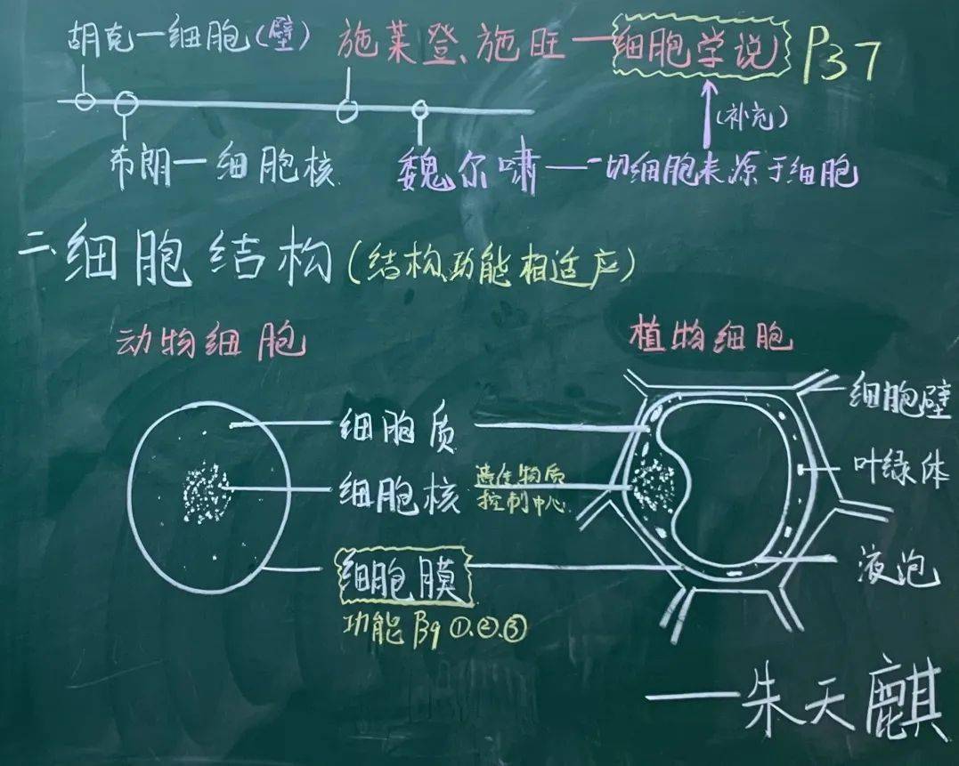 科学课板书设计模板图片