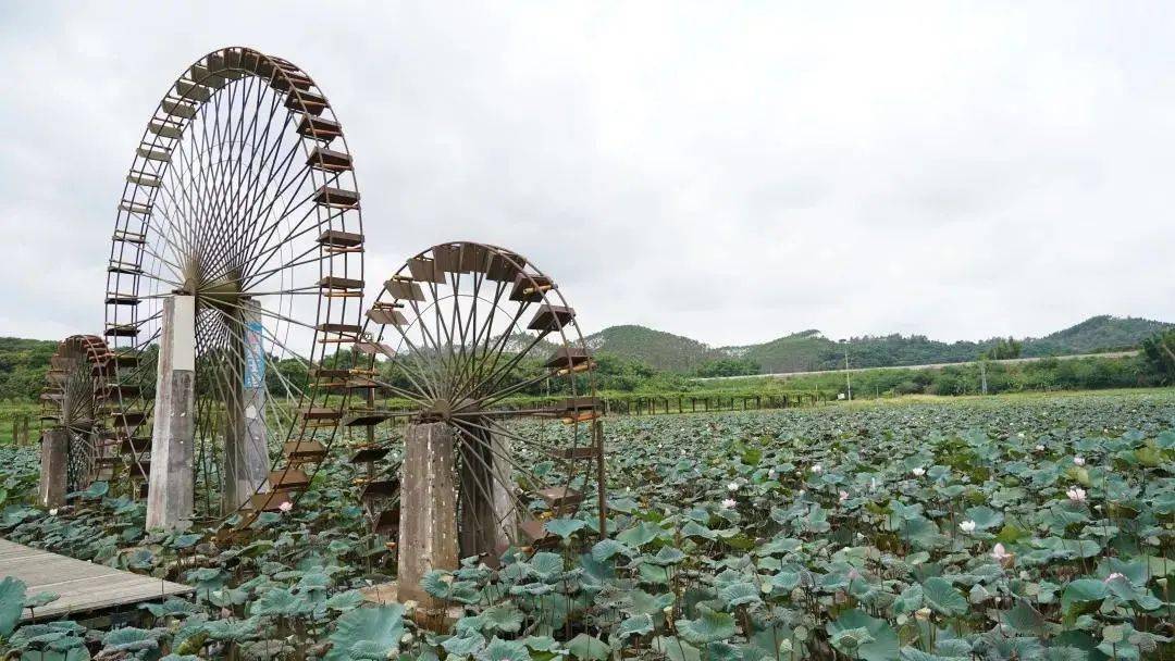 高州喜提中國鄉村旅遊發展名縣,全國十個名縣之一