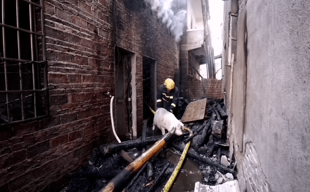 隆回三阁司一民房起火火势直烧猪圈2头猪被困