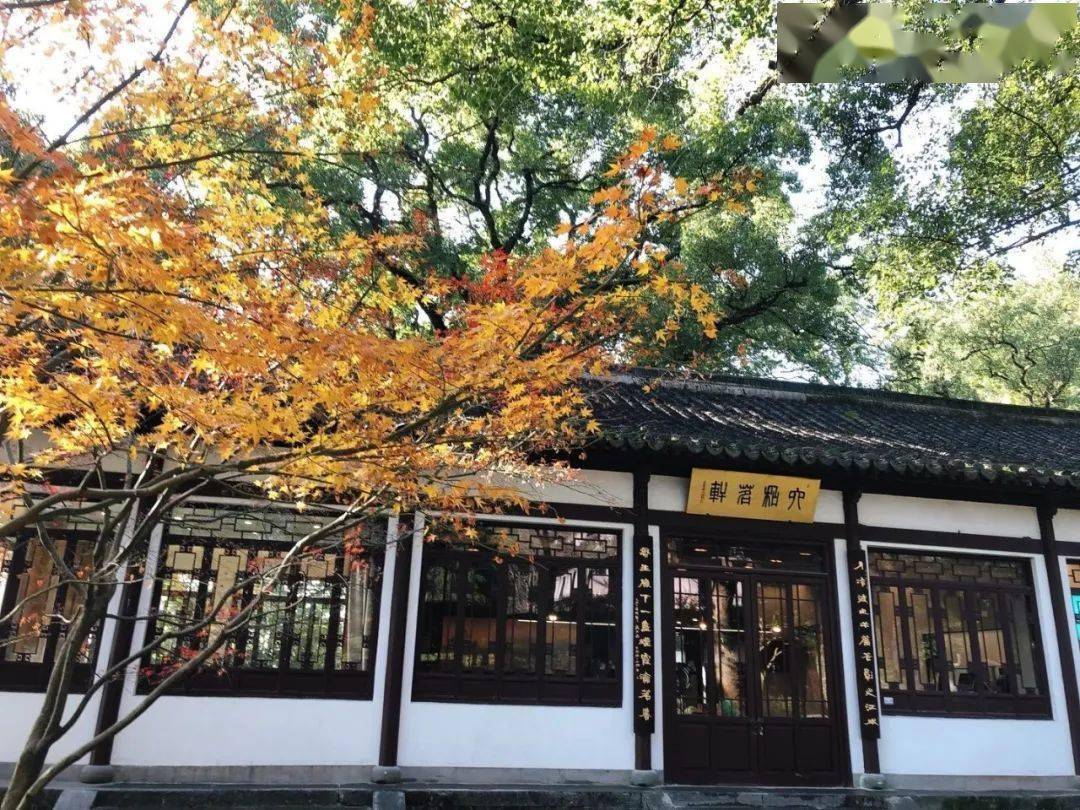 六和茶室 | 到这里,收获一份"悦读"的喜悦,一杯清茶的芳香_手机搜狐网