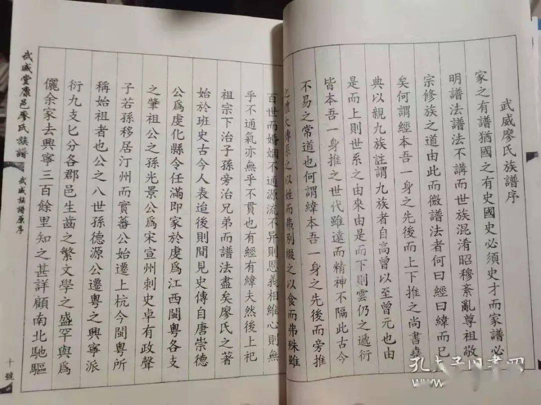 廖氏武威堂康邑廖氏族谱(1996年修)