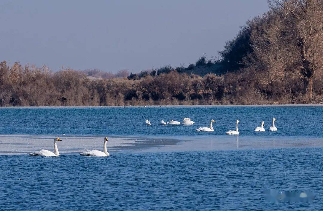 2020美丽和田绘出幸福画卷