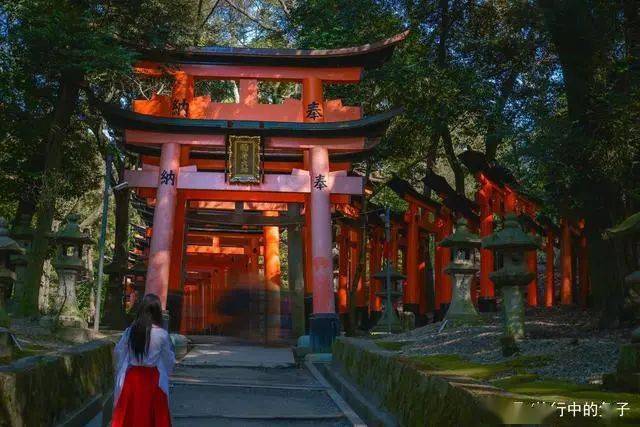 日本最著名的神社背后的那些暗黑祭祀传统