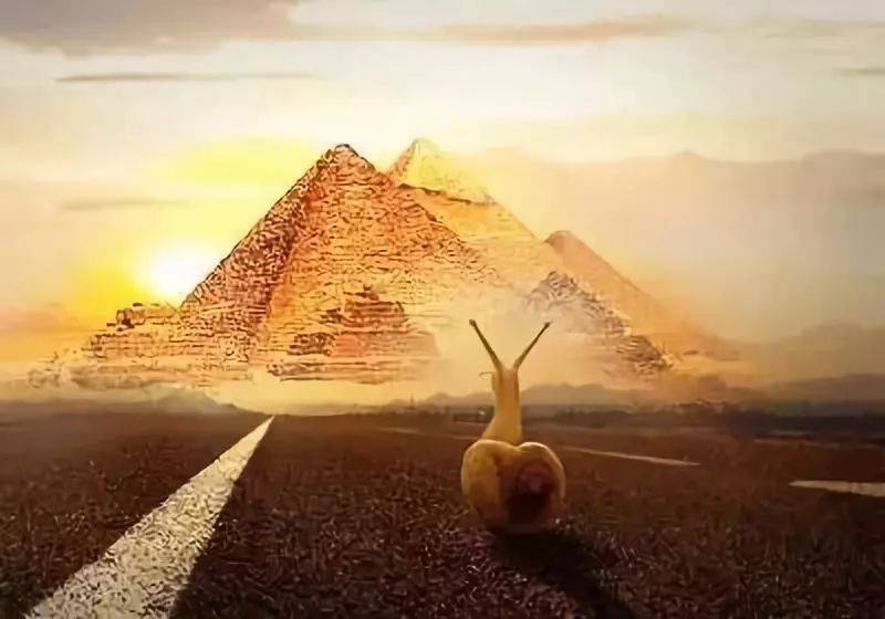 蜗牛是怎么爬到金字塔顶部的