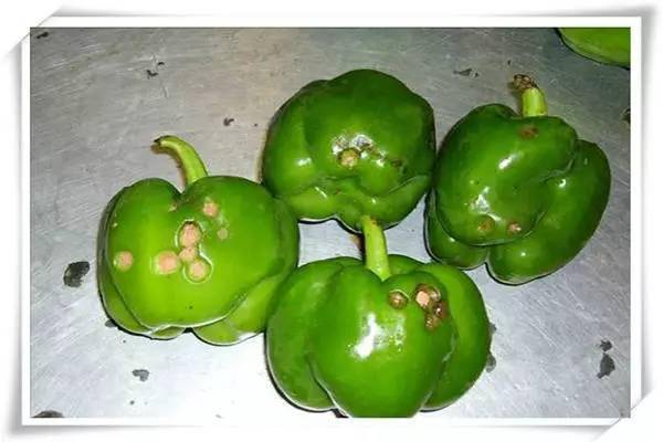 男子偷做亲子鉴定得知儿子非亲生把前妻告上法庭索要五万赔偿