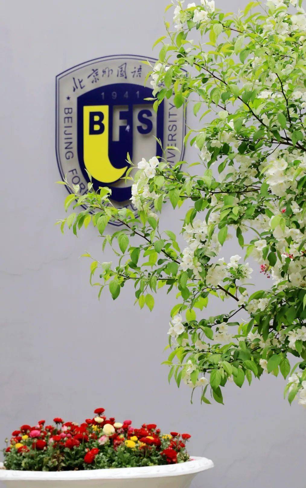 80周岁的北外拍了拍你并递上一封校庆邀请函